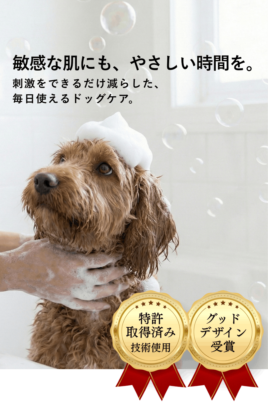 愛犬を皮膚から健康に。ウルトラファインバブルから生まれたスキンケアドッグシャンプー。